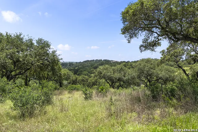 29091 CIBOLO CLIFF RD Bulverde, TX 78163