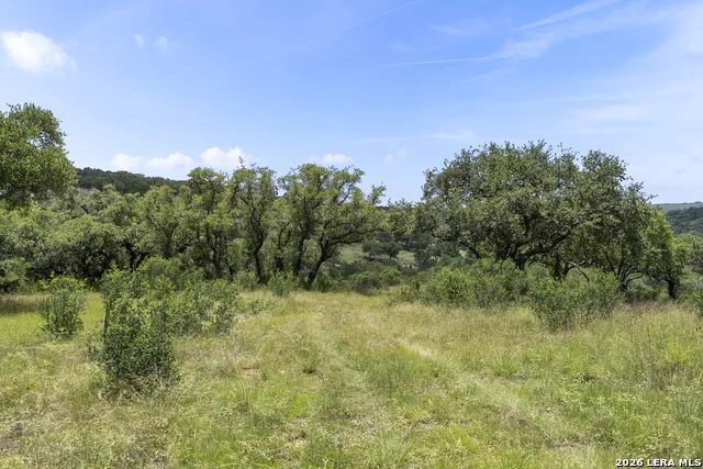 29091 CIBOLO CLIFF RD Bulverde, TX 78163