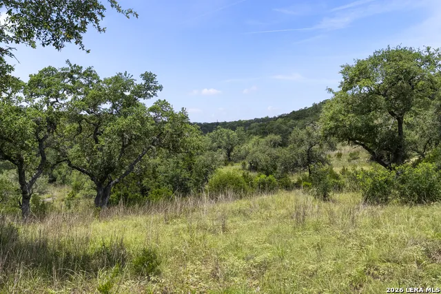 29091 CIBOLO CLIFF RD Bulverde, TX 78163