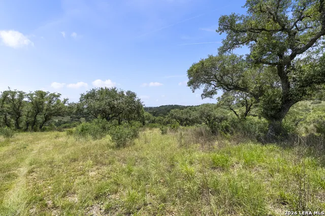 29091 CIBOLO CLIFF RD Bulverde, TX 78163