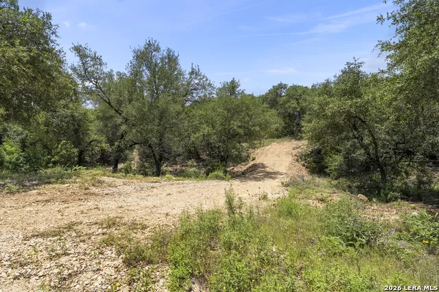 29091 CIBOLO CLIFF RD Bulverde, TX 78163