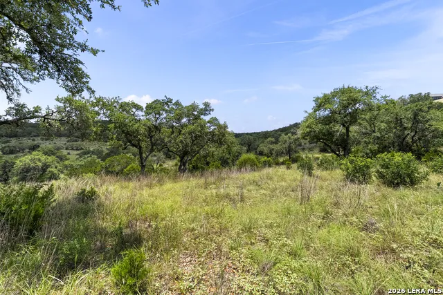 29091 CIBOLO CLIFF RD Bulverde, TX 78163