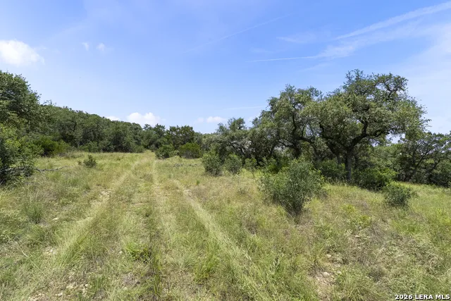 29091 CIBOLO CLIFF RD Bulverde, TX 78163