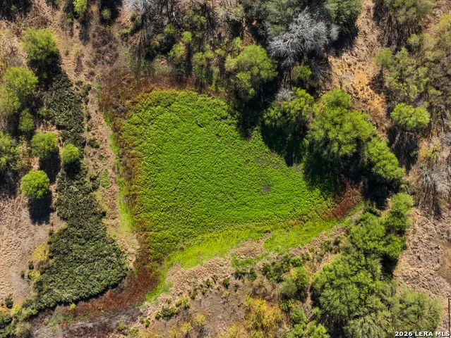 +/- 32.04 ACRES Bluntzer Jourdanton, TX 78026