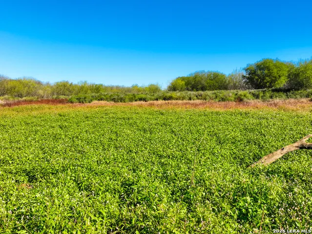 +/- 32.04 ACRES Bluntzer Jourdanton, TX 78026