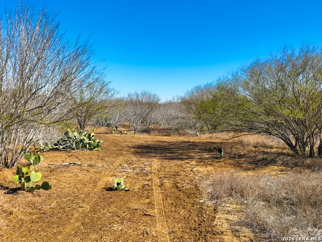 +/- 32.04 ACRES Bluntzer Jourdanton, TX 78026