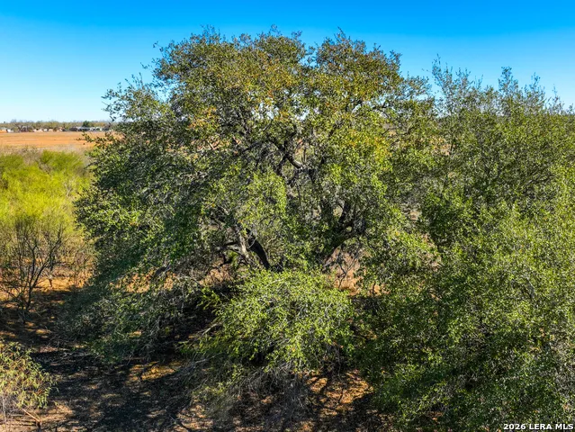 +/- 32.04 ACRES Bluntzer Jourdanton, TX 78026