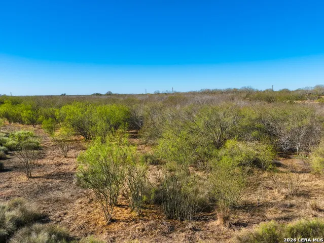 +/- 32.04 ACRES Bluntzer Jourdanton, TX 78026