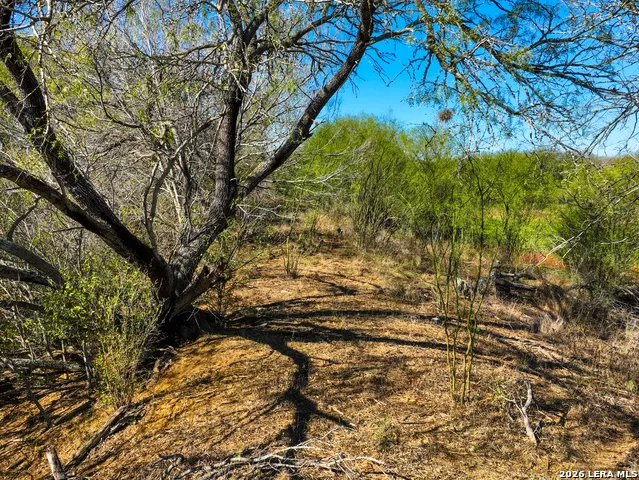 +/- 32.04 ACRES Bluntzer Jourdanton, TX 78026