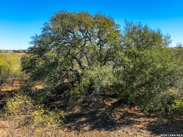 +/- 32.04 ACRES Bluntzer Jourdanton, TX 78026