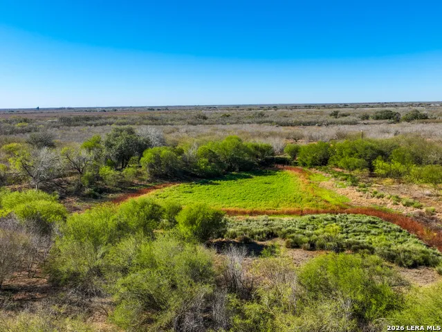 +/- 32.04 ACRES Bluntzer Jourdanton, TX 78026