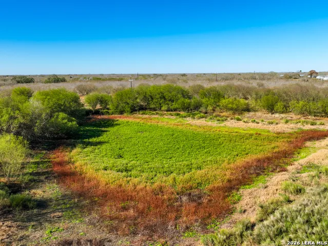 +/- 32.04 ACRES Bluntzer Jourdanton, TX 78026