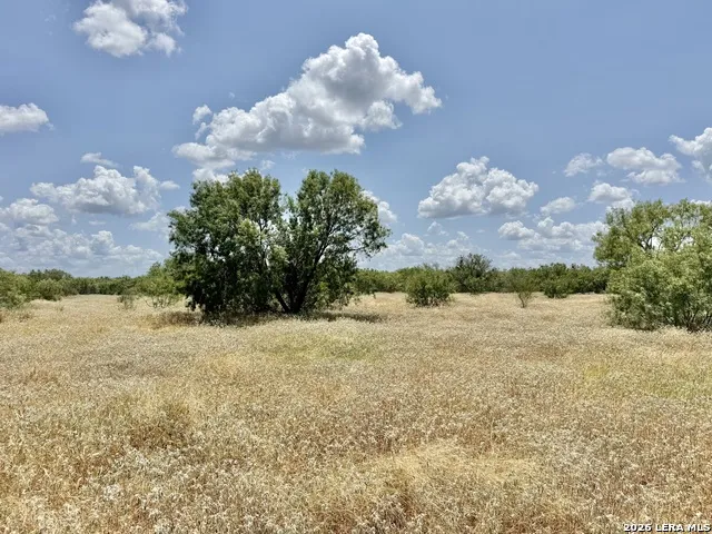 24.52 Acres on Campbell BLVD Campbellton, TX 78008