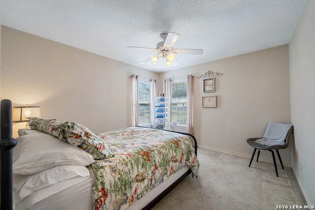2444 PURGATORY RD New Braunfels, TX 78132