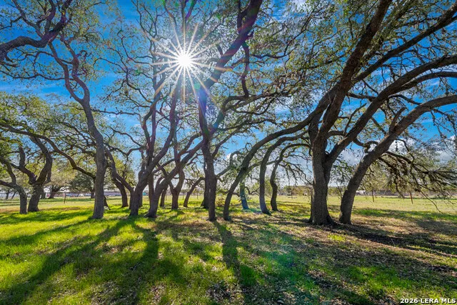 2444 PURGATORY RD New Braunfels, TX 78132