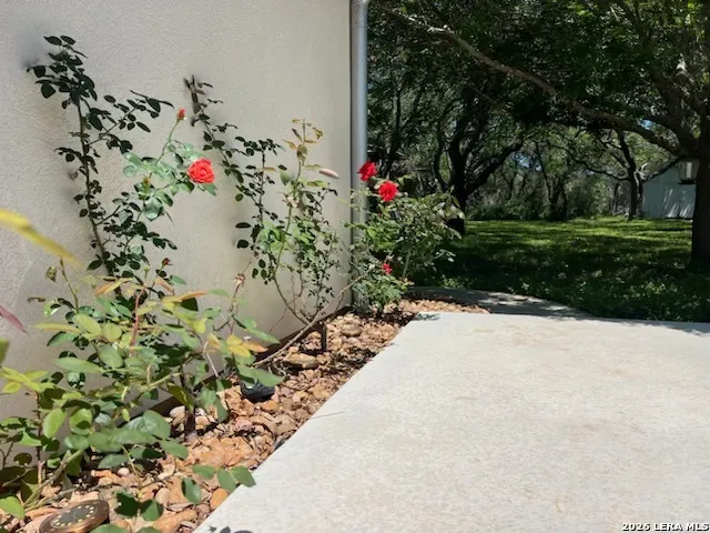 2444 PURGATORY RD New Braunfels, TX 78132