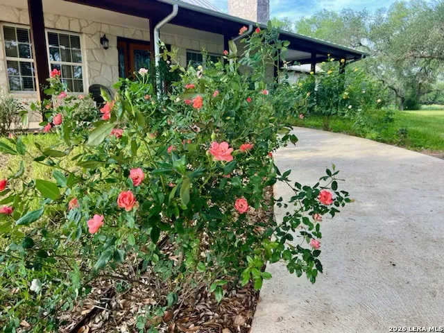 2444 PURGATORY RD New Braunfels, TX 78132