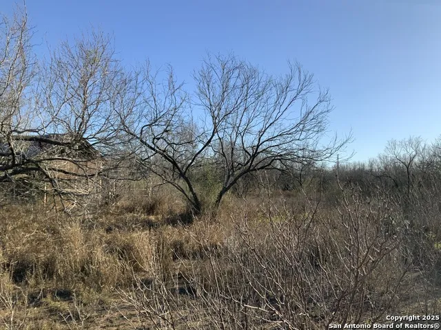 SV-49 LOT 2 Fm 1333 Poteet, TX 78065