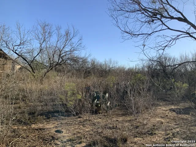 SV-49 LOT 2 Fm 1333 Poteet, TX 78065