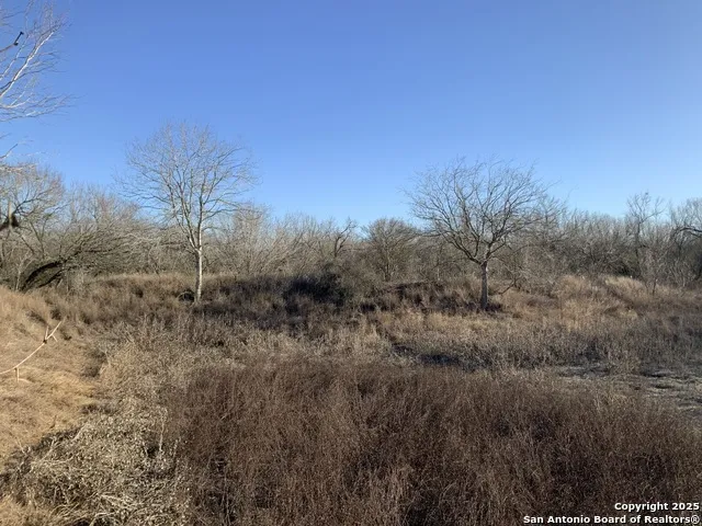 SV-49 LOT 2 Fm 1333 Poteet, TX 78065