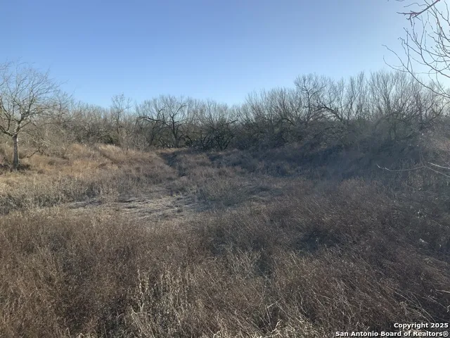 SV-49 LOT 2 Fm 1333 Poteet, TX 78065