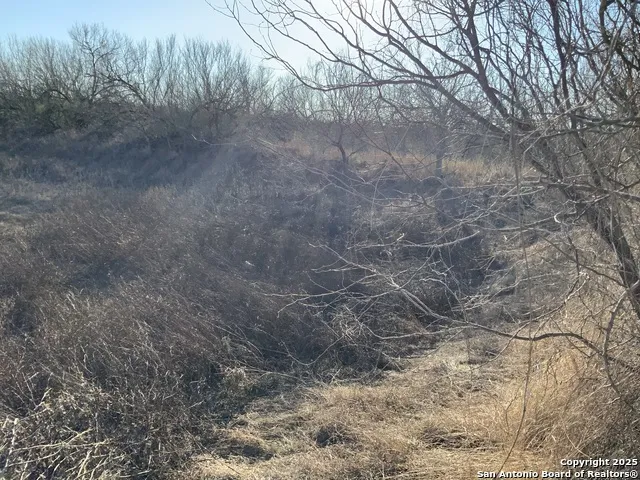 SV-49 LOT 2 Fm 1333 Poteet, TX 78065