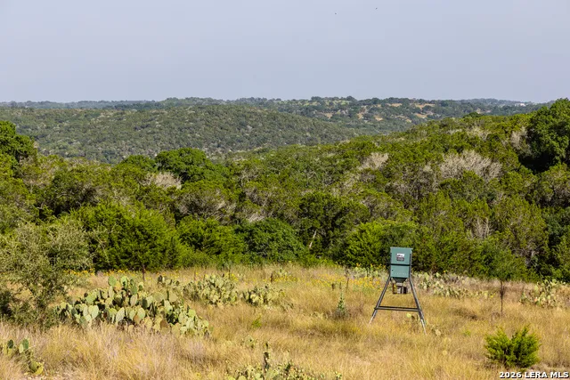 174 Cedar Rock Trail Hunt, TX 78024