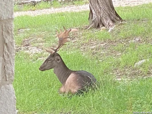 174 Cedar Rock Trail Hunt, TX 78024