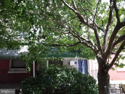 811 HOLLY STREET