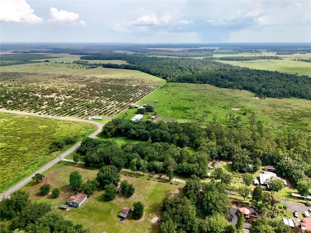 MCCLELLAN RD Frostproof, FL 33843