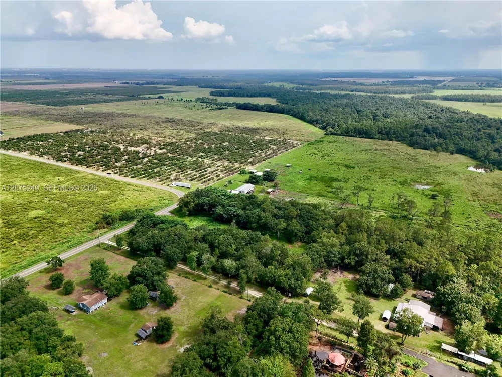 MCCLELLAN RD Frostproof, FL 33843
