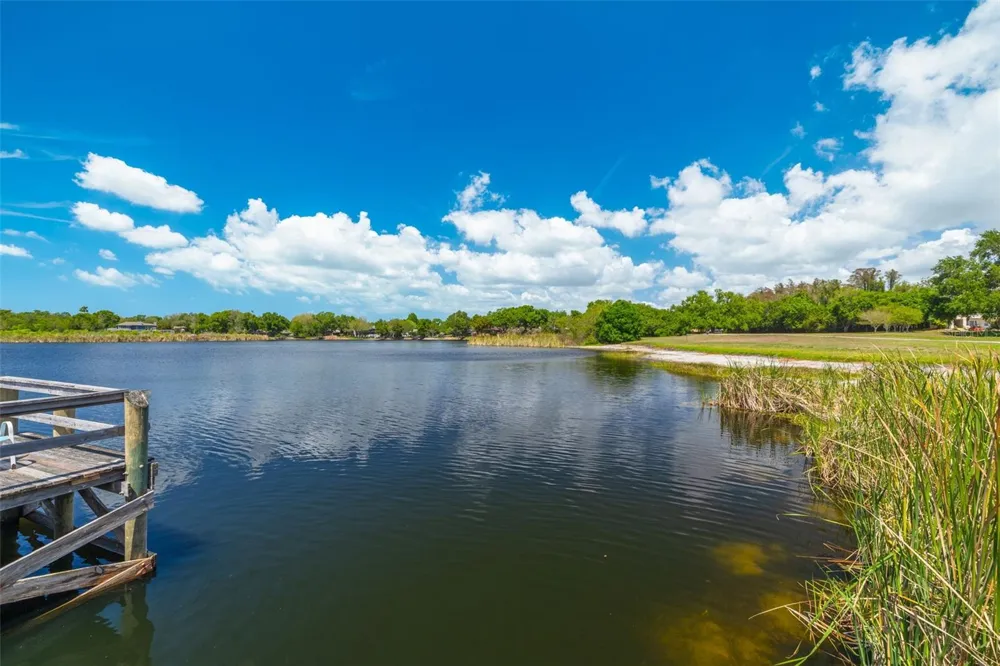 2455 FINLANDIA LANE #63 Clearwater, FL 33763