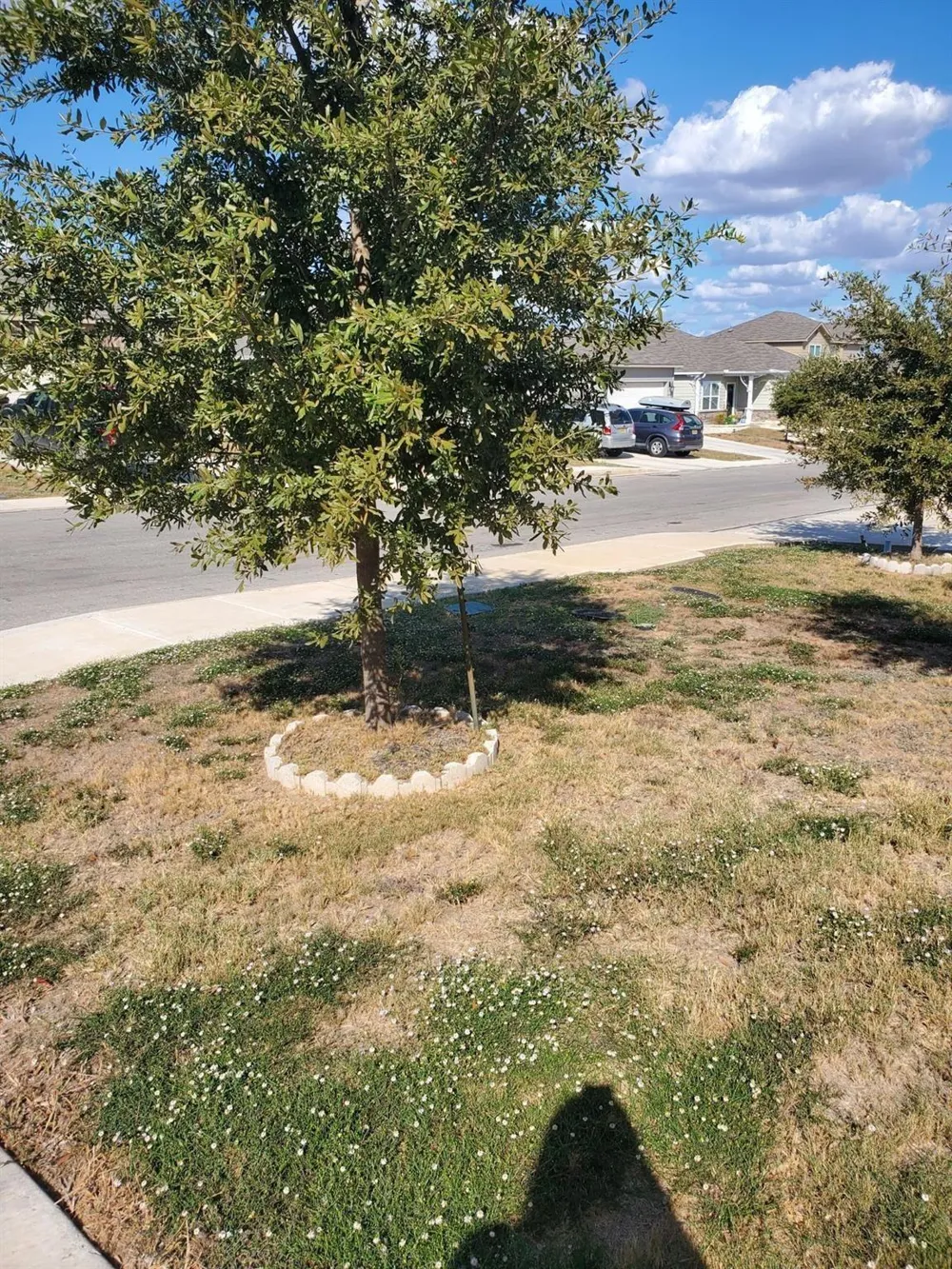 7120 Quarter Moon Comfort, TX 78109