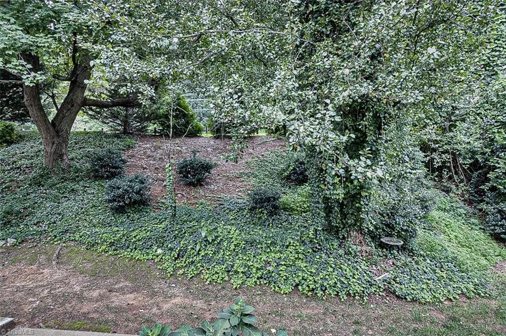 330 W Presnell Street #19 Asheboro, NC 27203