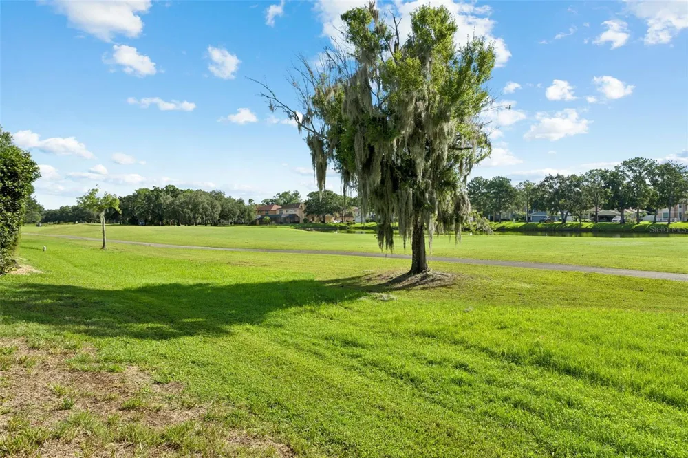 15611 SHOAL CREEK PLACE Odessa, FL 33556