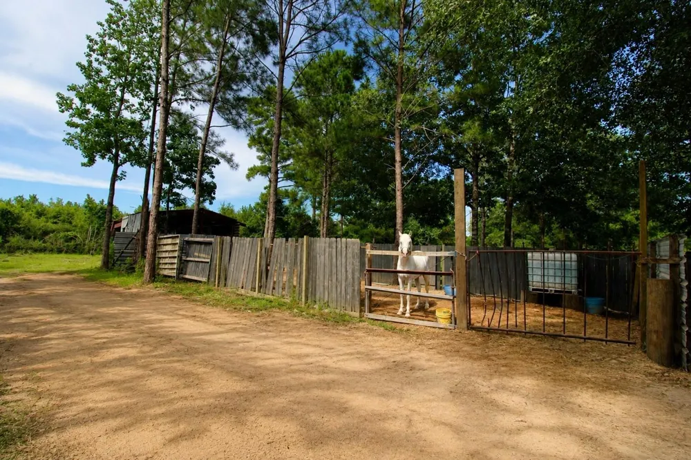 2111 County Road 3405 Cleveland, TX 77327