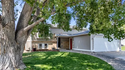 12429 Ash Drive