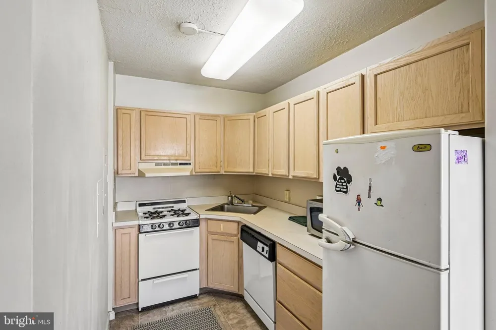 2101 CHESTNUT STREET #817 Philadelphia, PA 19103