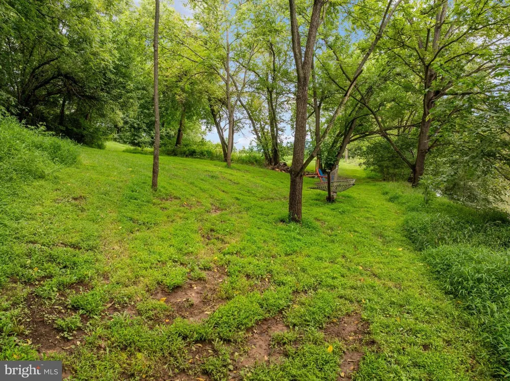 179 QUICKSBURG MILL LANE Quicksburg, VA 22847