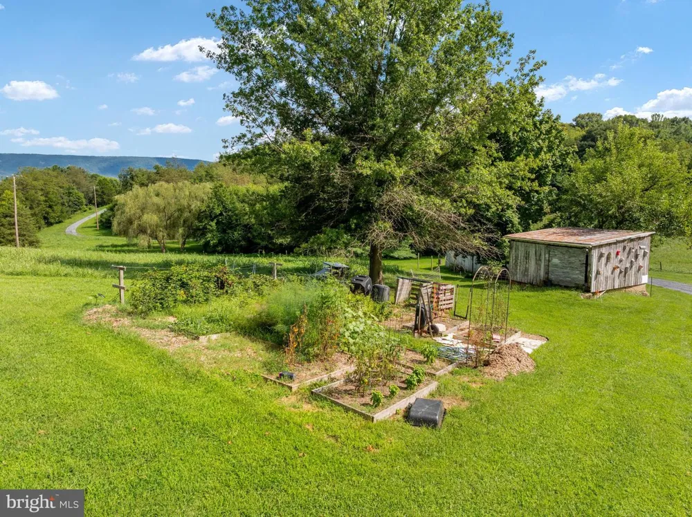179 QUICKSBURG MILL LANE Quicksburg, VA 22847
