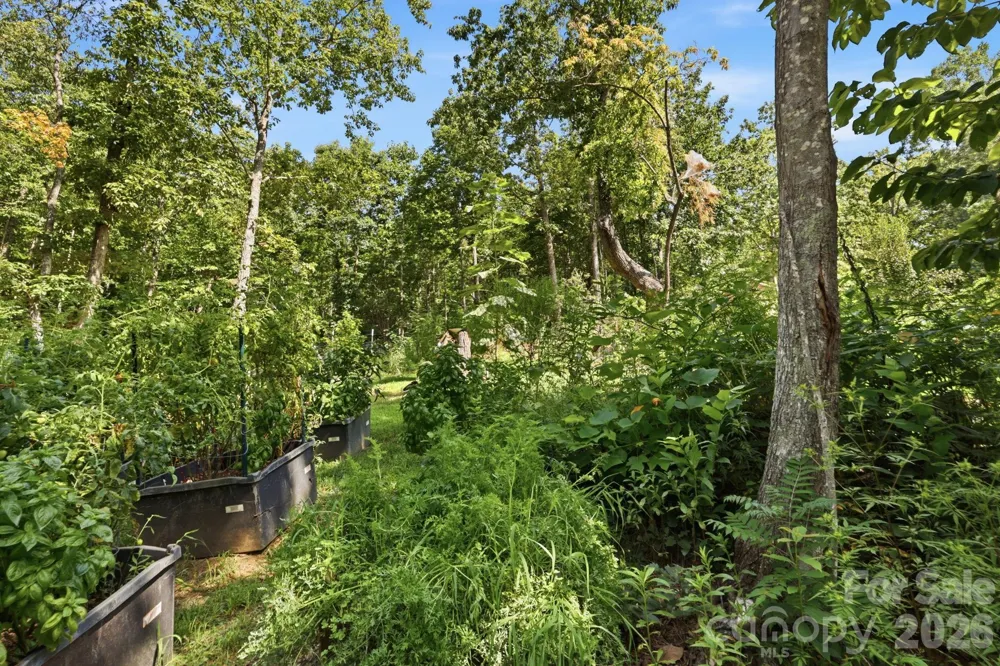 464 Mason Road Ellenboro, NC 28040