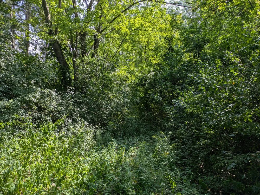 Holland Road Taylor, MI 48180
