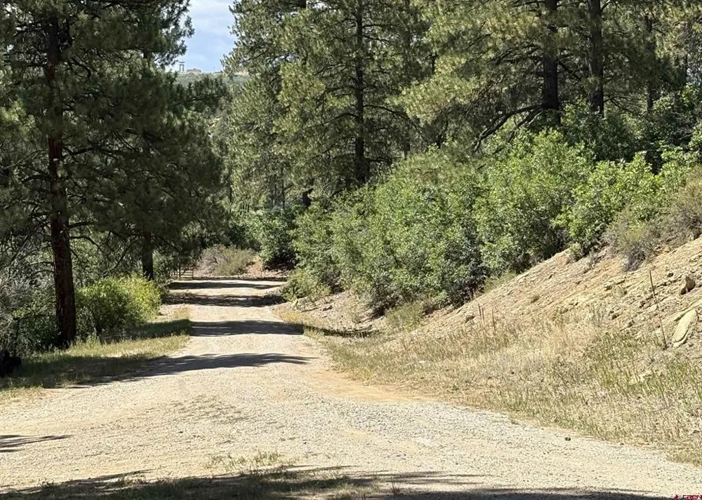 28061 W HWY 160 Bayfield, CO 81122