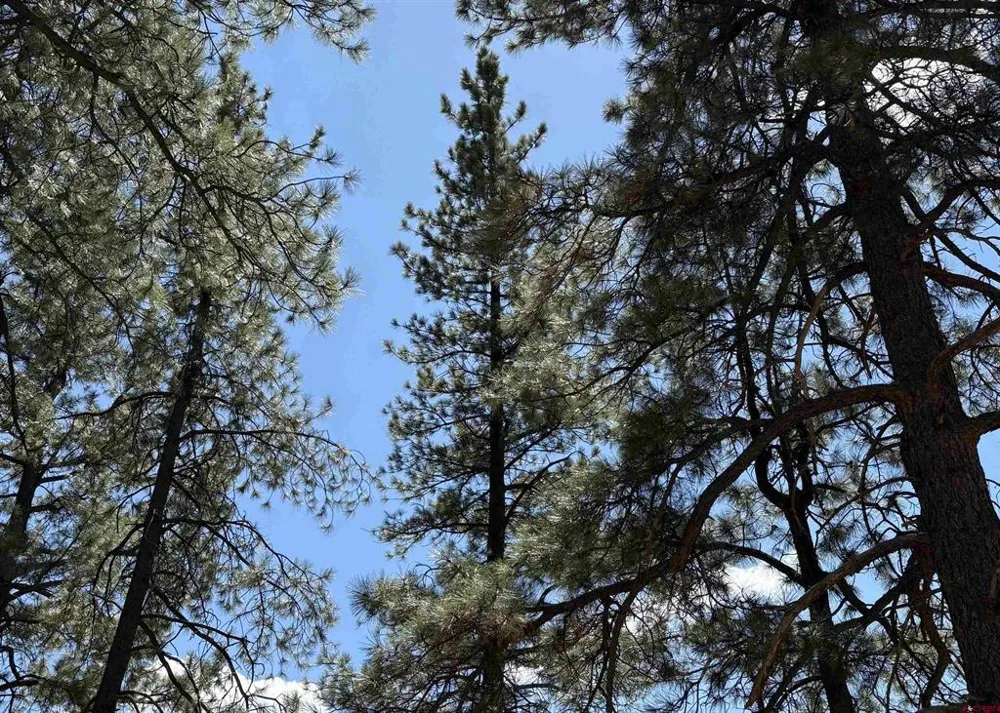 28061 W HWY 160 Bayfield, CO 81122