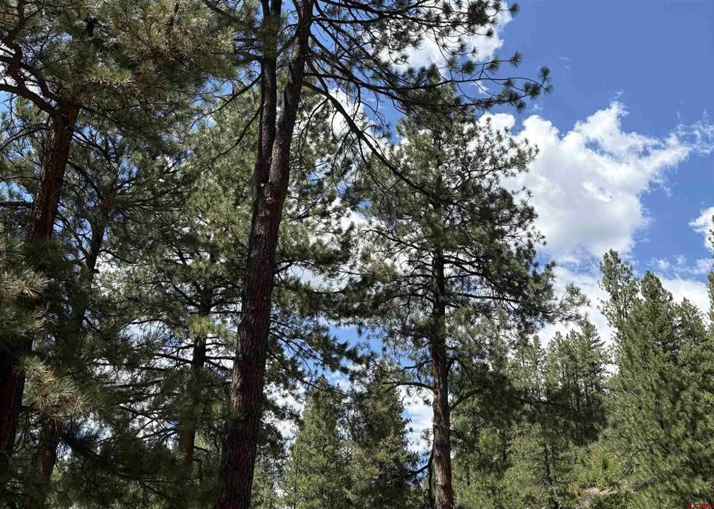 28061 W HWY 160 Bayfield, CO 81122