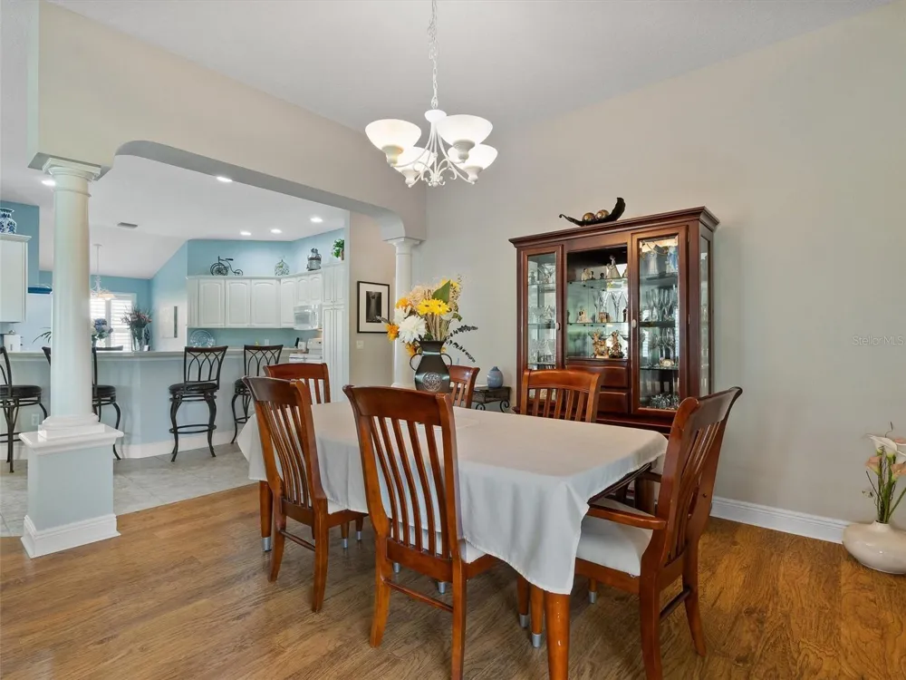 490 LITTLE RIVER PATH The Villages, FL 32162