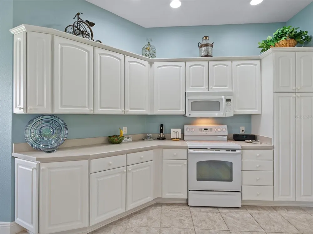 490 LITTLE RIVER PATH The Villages, FL 32162