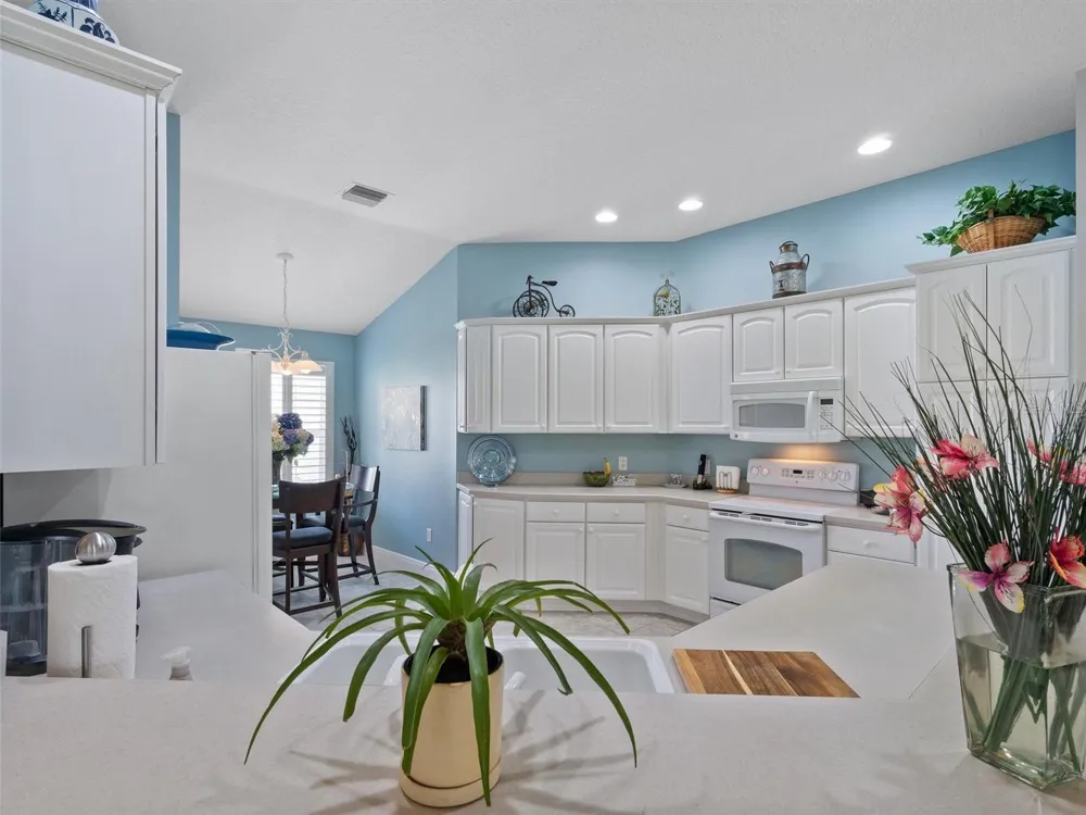 490 LITTLE RIVER PATH The Villages, FL 32162
