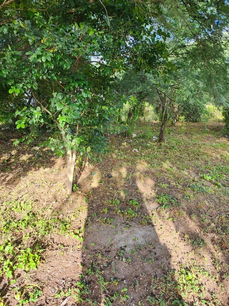 610 S Atascosa Street Mathis, TX 78368