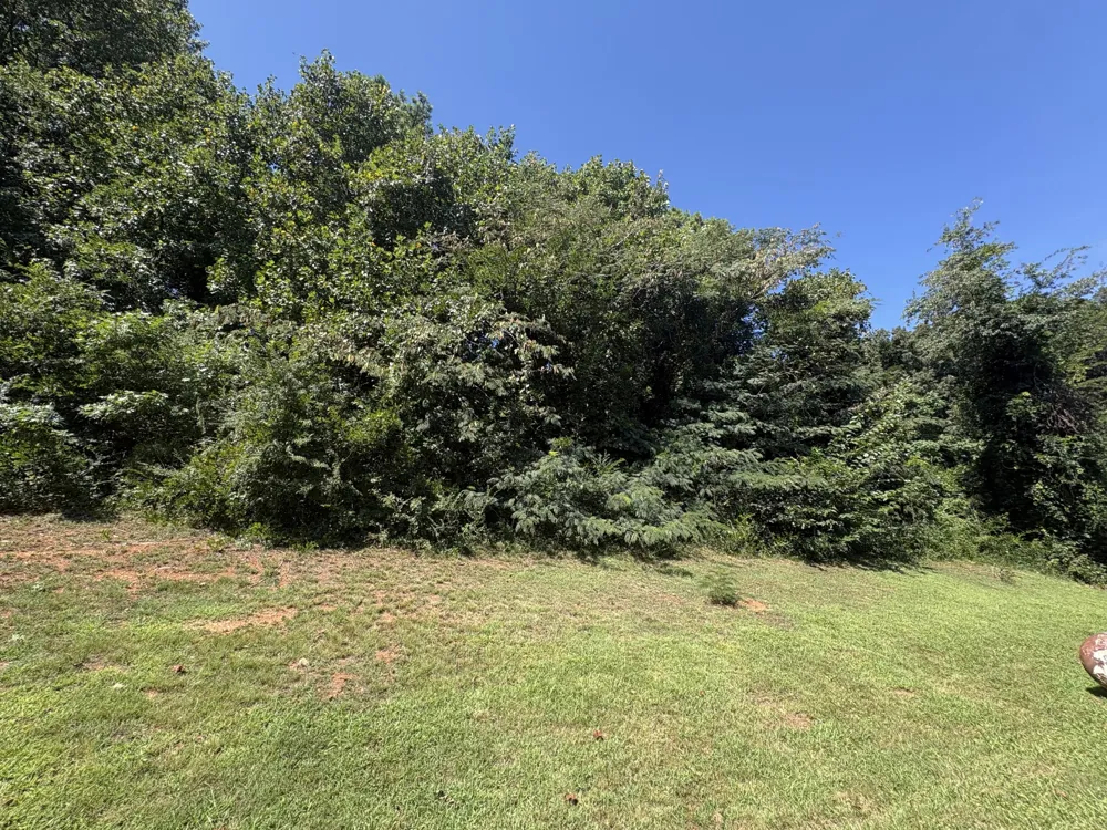 2433 Meade Circle Chattanooga, TN 37406